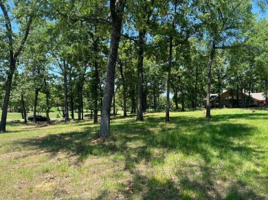 DON'T MISS YOUR CHANCE to own this waterfront property sitting on Pinnacle Golf and Boat Club in Texas - for sale on GolfHomes.com, golf home, golf lot