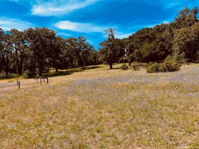 This wonderful 2.14 acre Santa Lucia Preserve parcel is just off on The Preserve Golf Club in California - for sale on GolfHomes.com, golf home, golf lot