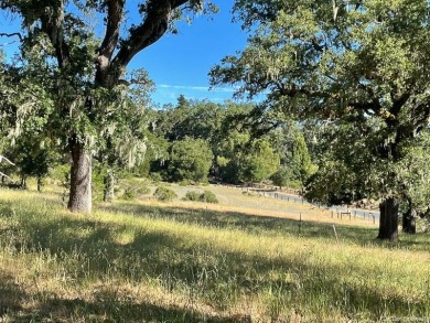 This wonderful 2.14 acre Santa Lucia Preserve parcel is just off on The Preserve Golf Club in California - for sale on GolfHomes.com, golf home, golf lot