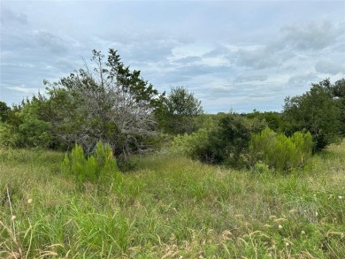 Partial lakeview from lots 419 and 420 in the Kings Point Cove on Hideout Golf Club and Resort  in Texas - for sale on GolfHomes.com, golf home, golf lot