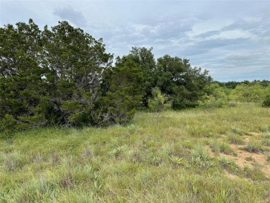 Partial lakeview from lots 419 and 420 in the Kings Point Cove on Hideout Golf Club and Resort  in Texas - for sale on GolfHomes.com, golf home, golf lot