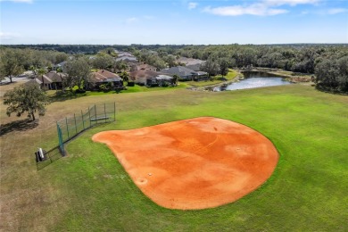 Gorgeous Estate multigenerational home, 12810 Daisy Place, a on Waterlefe Golf and River Club in Florida - for sale on GolfHomes.com, golf home, golf lot