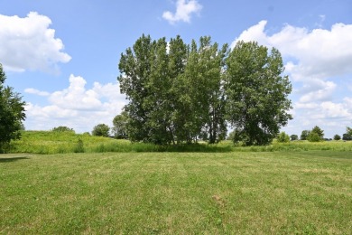 Welcome to Nettle Creek Lot 65!  Sitting on (.57) acres, this is on Nettle Creek Country Club in Illinois - for sale on GolfHomes.com, golf home, golf lot