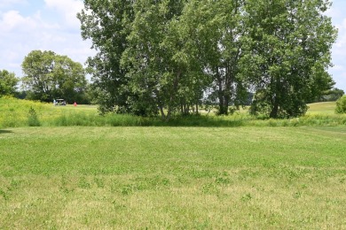 Welcome to Nettle Creek Lot 65!  Sitting on (.57) acres, this is on Nettle Creek Country Club in Illinois - for sale on GolfHomes.com, golf home, golf lot
