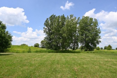 Welcome to Nettle Creek Lot 65!  Sitting on (.57) acres, this is on Nettle Creek Country Club in Illinois - for sale on GolfHomes.com, golf home, golf lot
