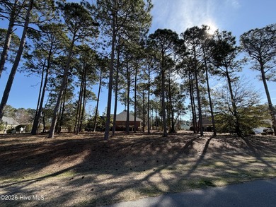 Build your dream home on this exceptional high-and-dry homesite on Sea Trail Golf Resort in North Carolina - for sale on GolfHomes.com, golf home, golf lot