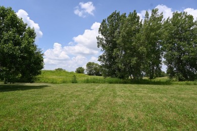 Welcome to Nettle Creek Lot 65!  Sitting on (.57) acres, this is on Nettle Creek Country Club in Illinois - for sale on GolfHomes.com, golf home, golf lot