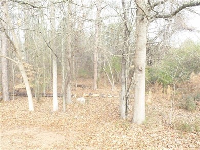 Check out this truly unique lot in Chickasaw Point. This lot is on The Trail At Chickasaw Pointe in South Carolina - for sale on GolfHomes.com, golf home, golf lot