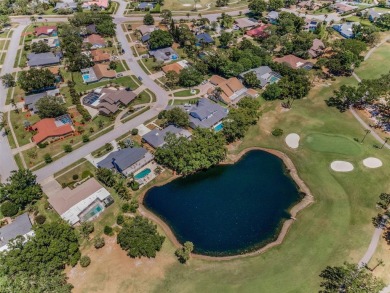 Welcome home to 2950 Meadow Hill Drive featuring some of the on Countryside Country Club in Florida - for sale on GolfHomes.com, golf home, golf lot