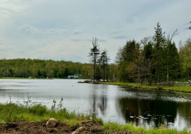 Be the first to own this stunning new construction home, now in on  in New York - for sale on GolfHomes.com, golf home, golf lot