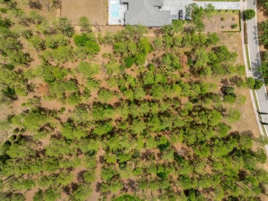 BEST PRICED LOT IN BELLA COLLINA! Survey and house plans from on Bella Collina Golf Club in Florida - for sale on GolfHomes.com, golf home, golf lot