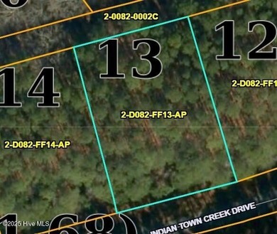 Discover the perfect location for your dream custom-built home on Sound Golf Links at Albemarle Plantation in North Carolina - for sale on GolfHomes.com, golf home, golf lot