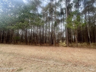 Discover the perfect location for your dream custom-built home on Sound Golf Links at Albemarle Plantation in North Carolina - for sale on GolfHomes.com, golf home, golf lot