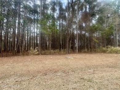 Discover the perfect location for your dream custom-built home on Sound Golf Links at Albemarle Plantation in North Carolina - for sale on GolfHomes.com, golf home, golf lot