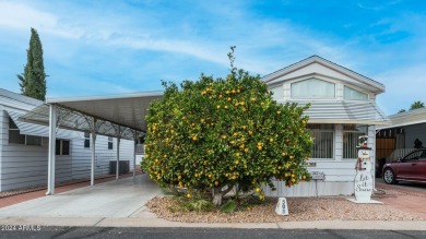 Fully Furnished! Large 1 Bedroom And 2 Bathroom Home With on Viewpoint Golf Resort in Arizona - for sale on GolfHomes.com, golf home, golf lot