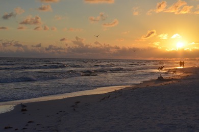 Welcome to a beautifully updated home in Sandestin Golf & Beach on Sandestin Golf and Beach Resort - Raven in Florida - for sale on GolfHomes.com, golf home, golf lot