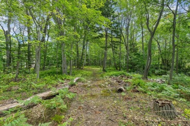 Incredible opportunity to own a large buildable lot on Chebeague on Great Chebeague Golf Club in Maine - for sale on GolfHomes.com, golf home, golf lot