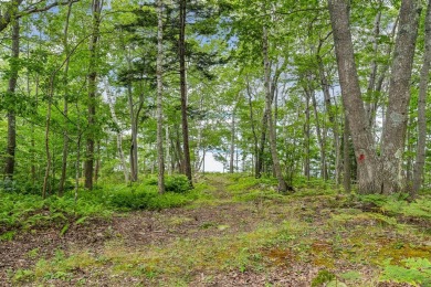 Incredible opportunity to own a large buildable lot on Chebeague on Great Chebeague Golf Club in Maine - for sale on GolfHomes.com, golf home, golf lot