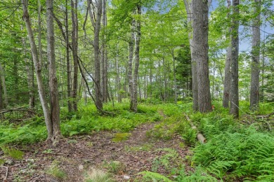 Incredible opportunity to own a large buildable lot on Chebeague on Great Chebeague Golf Club in Maine - for sale on GolfHomes.com, golf home, golf lot