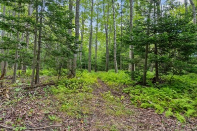 Incredible opportunity to own a large buildable lot on Chebeague on Great Chebeague Golf Club in Maine - for sale on GolfHomes.com, golf home, golf lot