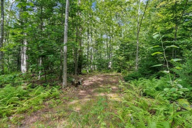 Incredible opportunity to own a large buildable lot on Chebeague on Great Chebeague Golf Club in Maine - for sale on GolfHomes.com, golf home, golf lot