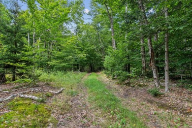 Incredible opportunity to own a large buildable lot on Chebeague on Great Chebeague Golf Club in Maine - for sale on GolfHomes.com, golf home, golf lot