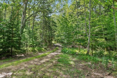 Incredible opportunity to own a large buildable lot on Chebeague on Great Chebeague Golf Club in Maine - for sale on GolfHomes.com, golf home, golf lot