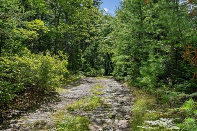 Incredible opportunity to own a large buildable lot on Chebeague on Great Chebeague Golf Club in Maine - for sale on GolfHomes.com, golf home, golf lot