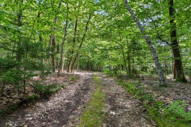 Incredible opportunity to own a large buildable lot on Chebeague on Great Chebeague Golf Club in Maine - for sale on GolfHomes.com, golf home, golf lot