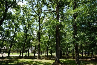 Build ready beautiful lots with mature oak trees!  Located in on Star Harbor Golf Club in Texas - for sale on GolfHomes.com, golf home, golf lot