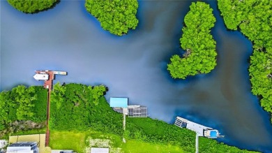 Build your dream home on this one-of-a-kind waterfront lot in on Pelicans Nest Golf Club in Florida - for sale on GolfHomes.com, golf home, golf lot