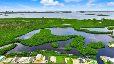 Build your dream home on this one-of-a-kind waterfront lot in on Pelicans Nest Golf Club in Florida - for sale on GolfHomes.com, golf home, golf lot
