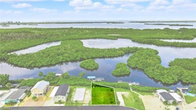 Build your dream home on this one-of-a-kind waterfront lot in on Pelicans Nest Golf Club in Florida - for sale on GolfHomes.com, golf home, golf lot