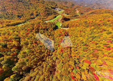 Perched 4,000 feet in the heart of the Blue Ridge Mountains on Balsam Mountain Preserve in North Carolina - for sale on GolfHomes.com, golf home, golf lot