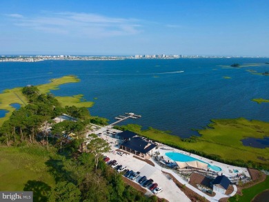 Beautiful coastal home located just 4 miles to the beach in the on Bayside Resort Golf Club in Delaware - for sale on GolfHomes.com, golf home, golf lot