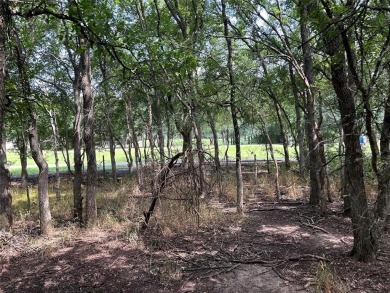 Two golf course lots located at the tee box of Hole 3 on the New on White Bluff Resort - New Course in Texas - for sale on GolfHomes.com, golf home, golf lot