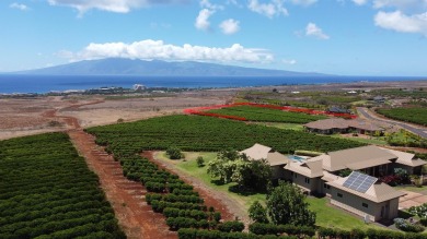 This is the only lot available right now in the coffee farms on Kaanapali Golf Courses in Hawaii - for sale on GolfHomes.com, golf home, golf lot