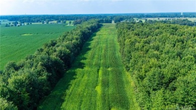 Super versatile acreage! Currently leased 16 acres of tillable on Spring Hills Golf Course in Indiana - for sale on GolfHomes.com, golf home, golf lot