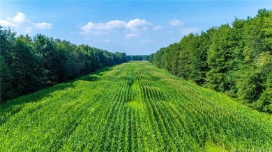 Super versatile acreage! Currently leased 16 acres of tillable on Spring Hills Golf Course in Indiana - for sale on GolfHomes.com, golf home, golf lot