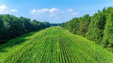 Super versatile acreage! Currently leased 16 acres of tillable on Spring Hills Golf Course in Indiana - for sale on GolfHomes.com, golf home, golf lot