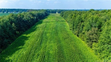 Super versatile acreage! Currently leased 16 acres of tillable on Spring Hills Golf Course in Indiana - for sale on GolfHomes.com, golf home, golf lot