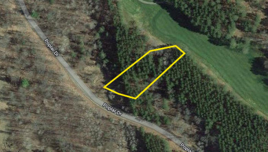 Online Auction - Vacant Lot #66 on the 8th Hole Fairway on Garland Resort and Golf Club  in Michigan - for sale on GolfHomes.com, golf home, golf lot