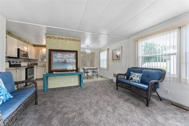 MOVE-IN READY! 2 BED/2 BATH COZY RETREAT - TWO FLORIDA ROOMS - on Bay Tree Golf Course in Florida - for sale on GolfHomes.com, golf home, golf lot