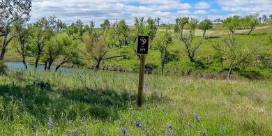 This exceptional homesite will feature 180-degree views of on Boot Ranch Golf Club in Texas - for sale on GolfHomes.com, golf home, golf lot