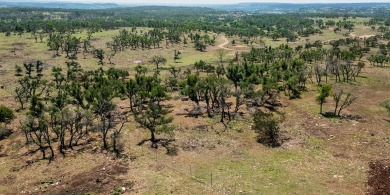 This is one of the most secluded homesites in Boot Ranch, with on Boot Ranch Golf Club in Texas - for sale on GolfHomes.com, golf home, golf lot