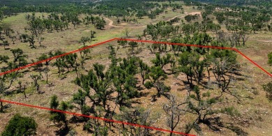 This is one of the most secluded homesites in Boot Ranch, with on Boot Ranch Golf Club in Texas - for sale on GolfHomes.com, golf home, golf lot