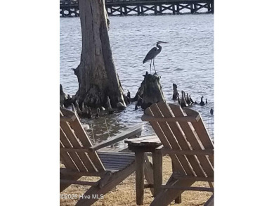 FABULOUS OPPORTUNITY FOR SOUGHT AFTER 2BR/2BA CONDO ON THE GOLF on Sound Golf Links at Albemarle Plantation in North Carolina - for sale on GolfHomes.com, golf home, golf lot