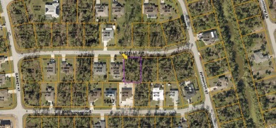 Quality building lot located in the booming city of North Port on Bobcat Trail Golf Club in Florida - for sale on GolfHomes.com, golf home, golf lot