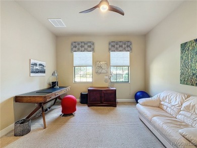 Discover a blend of comfort and luxury in this stunning on Skyview At Terra Vista Golf and Country Club in Florida - for sale on GolfHomes.com, golf home, golf lot