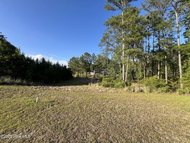 Location, location, location. The person that coined that phrase on Ocean Ridge Plantation in North Carolina - for sale on GolfHomes.com, golf home, golf lot